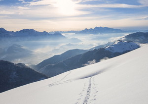 壓力角20°公稱分圓Φ38mm模數(shù)m1~m3.75錐柄直齒插齒刀